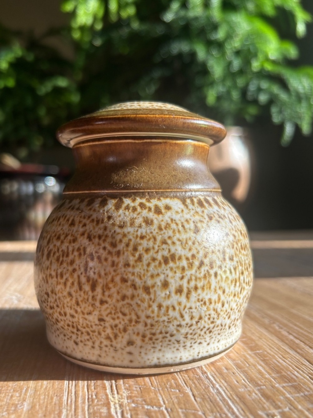 Vintage Speckled Jar With Lid Rustic Farmhouse Stoneware Pottery Artist Signed.